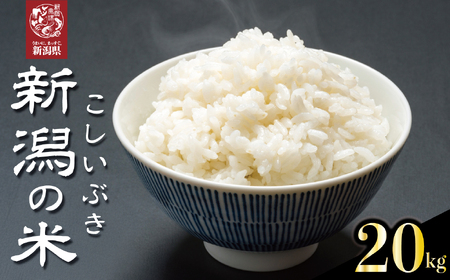 米 新米 こしいぶき 20kg 【令和7年産 新米 先行予約】 新潟県 新発田市 toushin040