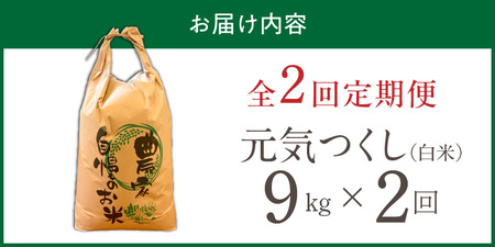 【定期便2回】【令和8年産 新米】福岡県産ブランド米元気つくし 白米 9kg×2回 _  元気つくし 9kg  お届け回数 2回 定期便 福岡県産 ブランド米 精米 新米 福岡生まれ 品種 香り豊か 