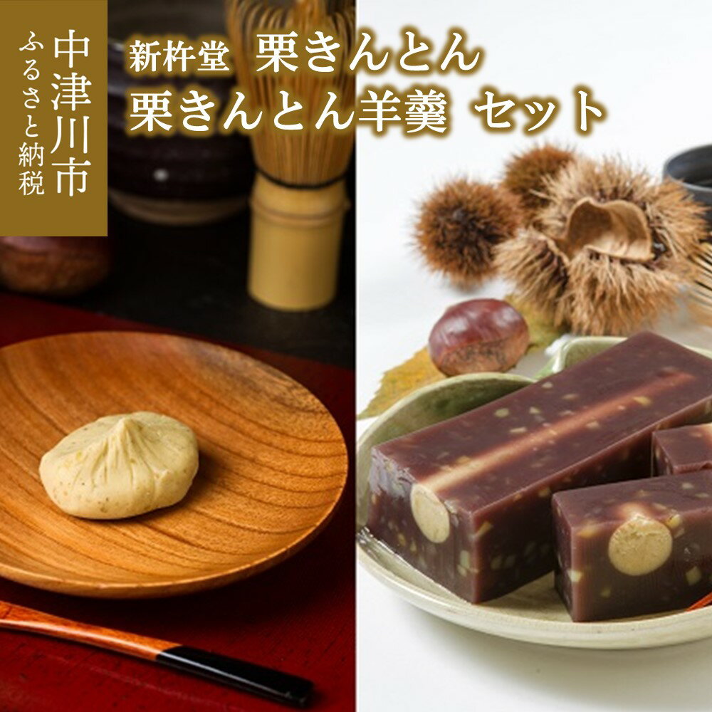 【ふるさと納税】栗きんとん 栗きんとん 羊羹 セット【新杵堂】人気 スイーツ 菓子 ギフト プレゼント 和菓子 栗菓子 お取り寄せ 送料無料 岐阜県 中津川市 秋 旬 F4N-0764