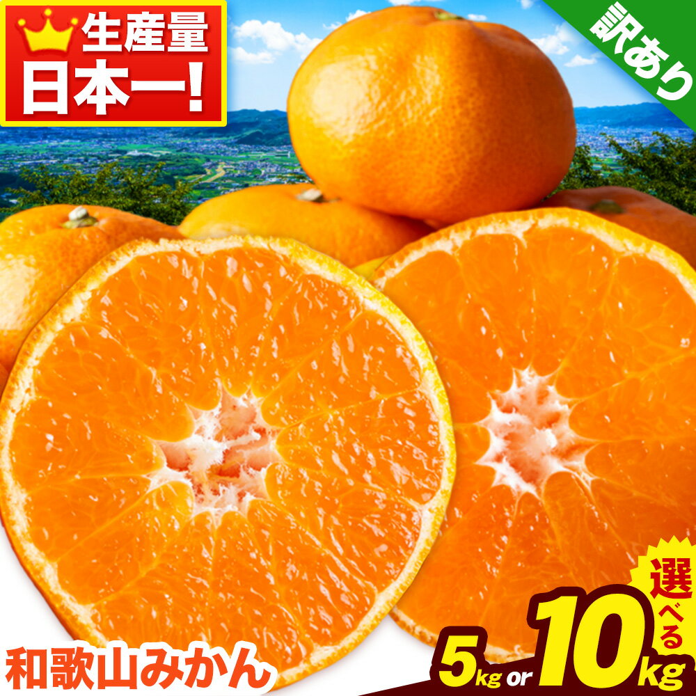 【ふるさと納税】【楽天限定】【先行予約】【訳あり/サイズ不選別】 和歌山みかん 選べる 内容量 5kg 約10kg 和歌山県産 《2025年11月中旬-1月中旬頃出荷》たっぷり ご家庭用 2L～2S 産地直送 みかん 旬 蜜柑 ミカン 柑橘 果物 フルーツ 和歌山県 岩出市