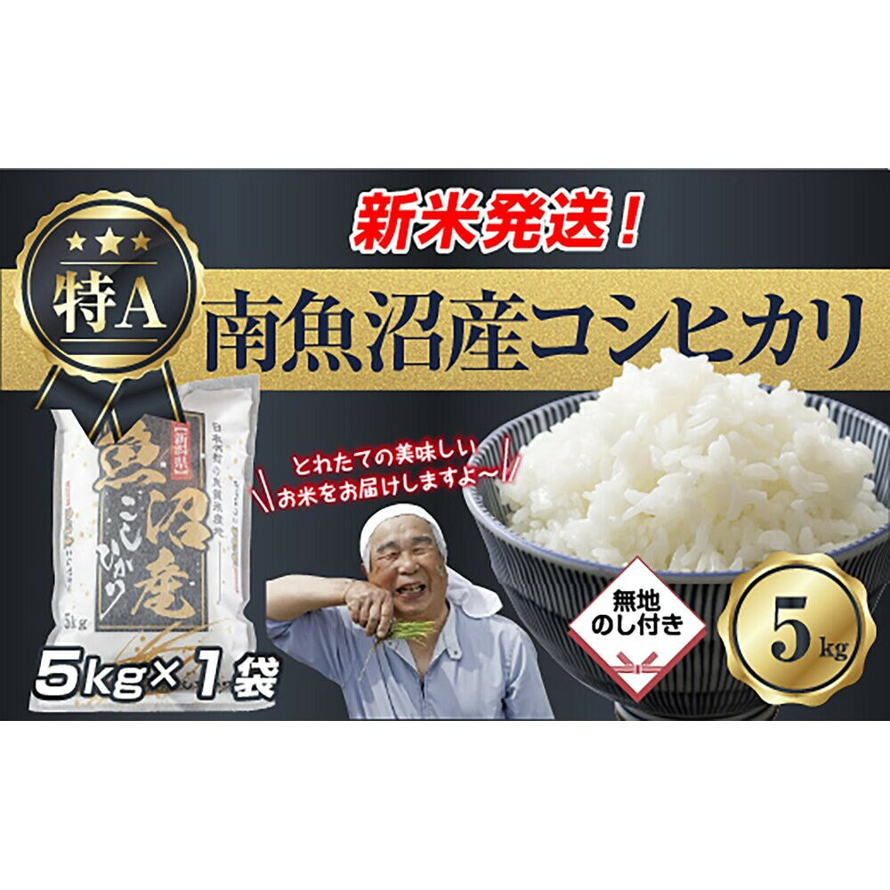 【ふるさと納税】【令和8年産　新米予約】「無地のし」 新潟県 南魚沼産 コシヒカリ お米 5kg 精米済み（お米の美味しい炊き方ガイド付き） お米 こめ 白米 こしひかり 食品 人気 おすすめ 送料無料 魚沼 南魚沼 南魚沼市【2026年10月中旬より1ヶ月以内に順次発送予定】
