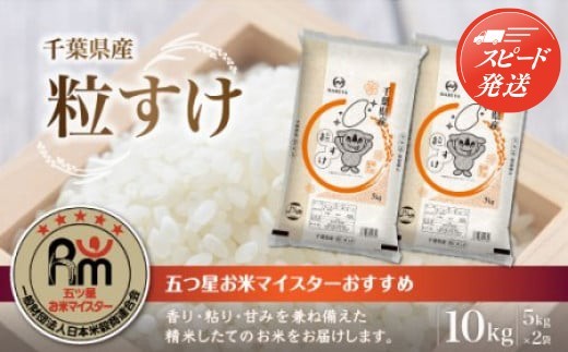 【最短2～7営業日出荷】令和7年産 千葉県産粒すけ 精米 10kg (5kg×2袋) ふるさと納税 米 千葉県産 大網白里 コシヒカリ 精米 こめ 送料無料 E017