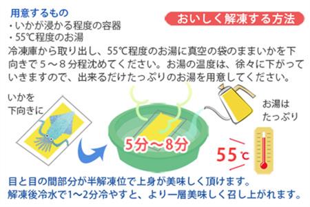 『先行予約』呼子のいか活造り3杯! コリコリ甘い鮮度抜群の透明感! 約200g×3(合計約600g) 刺身 ギフト 冷凍※水揚げあり次第5月以降順次発送させていただきます。
