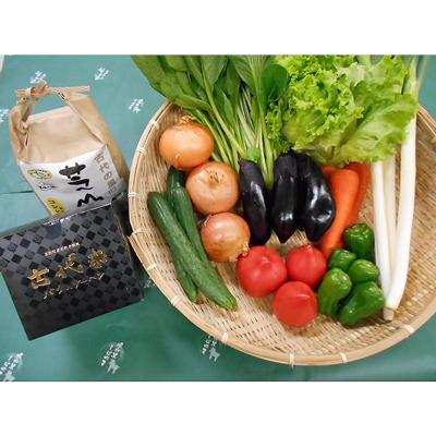 ふるさと納税 芝山町 「大地の恵みセット」9〜10種 +コシヒカリ2kg【令和7年産】+古代米バウムクーヘン