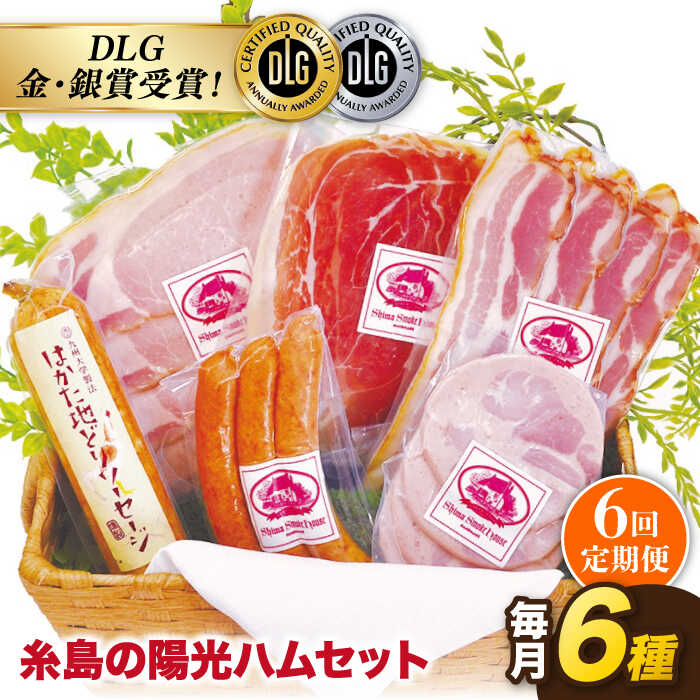 【全6回定期便】 糸島の陽光 ハム セット 糸島市 / 志摩スモークハウス [AOA009]