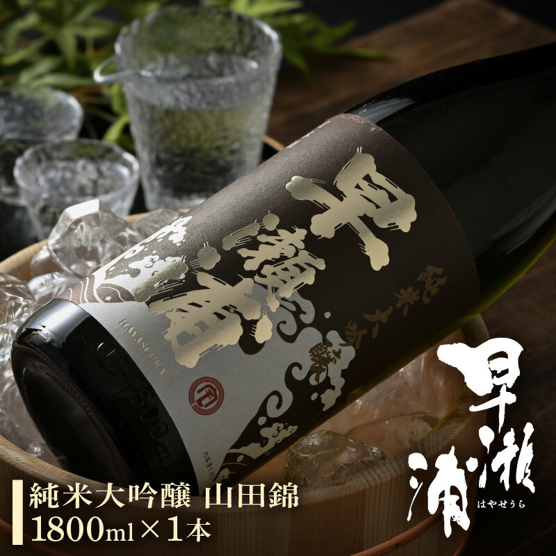 【ふるさと納税】早瀬浦 純米大吟醸 山田錦 1800ml × 1本 【入手困難 日本酒 就職祝い 転職祝い ハレの日 ギフト プレゼント お祝い お返し お礼 お中元 お歳暮 父の日 敬老の日】 [m06-e001]