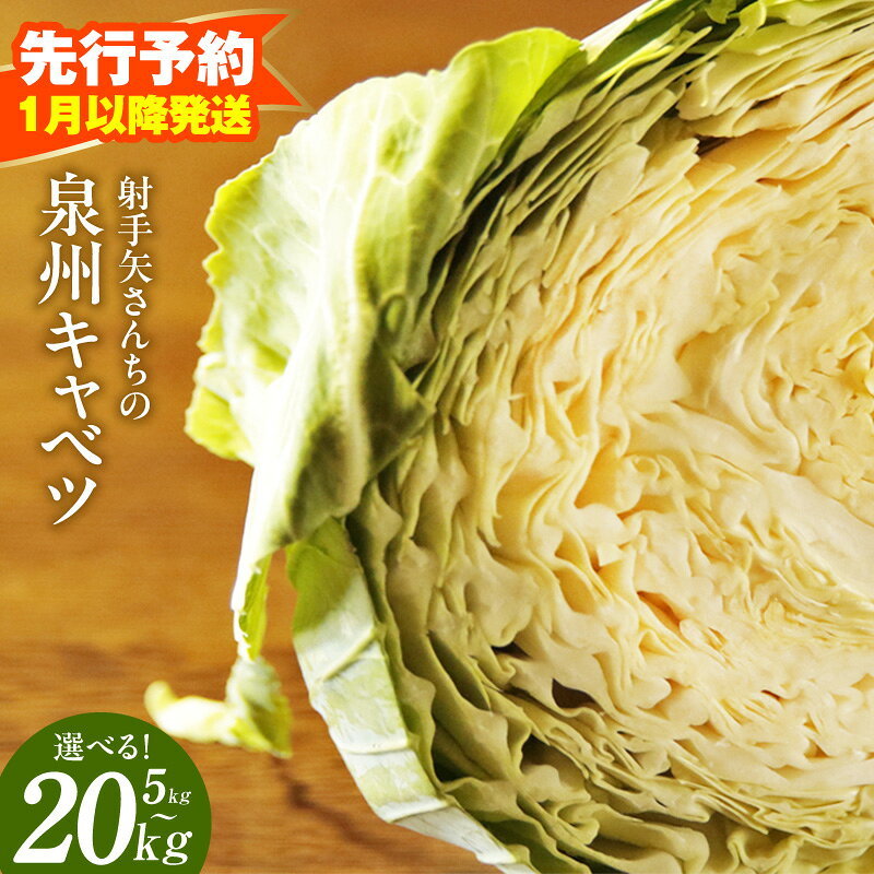 【ふるさと納税】【先行予約】 泉州キャベツ 5kg ～ 20kg 射手矢農園 泉佐野市産 農家直送 訳あり サイズ不揃い 芯まで甘い キャベツ 新鮮 常備菜 野菜 旬 鮮度抜群 サラダ お好み焼き ロールキャベツ 野菜炒め 大阪府 泉佐野市 送料無料
