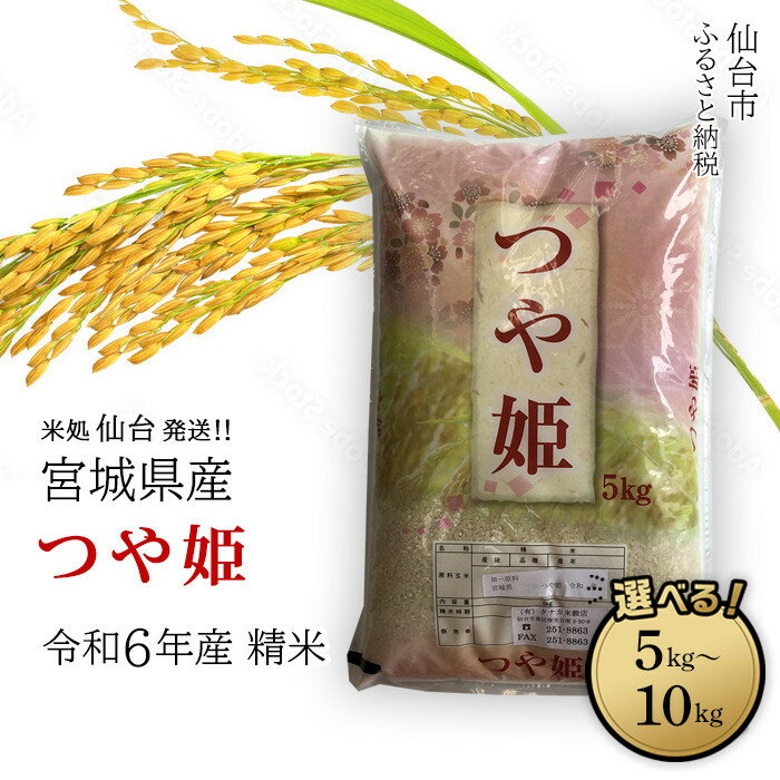 【ふるさと納税】【宮城県産 つや姫】令和6年度産 精米 ＜ 選べる内容量 5kg ／ 10kg ＞ 【米 お米 こめ コメ ご飯 ごはん】 | お米 こめ 白米 食品 人気 おすすめ 送料無料