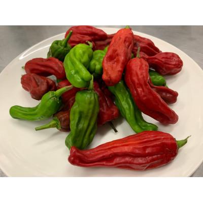 ふるさと納税 本巣市 徳山唐辛子餃子 80個(40個入×2袋) 生冷凍 |  | 02