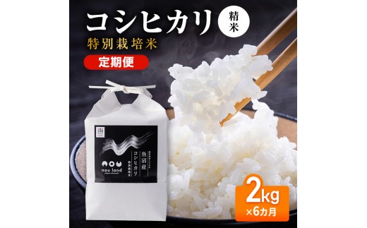 【先行予約】令和8年産 定期便 コシヒカリ特別栽培 精米 2kg×6カ月