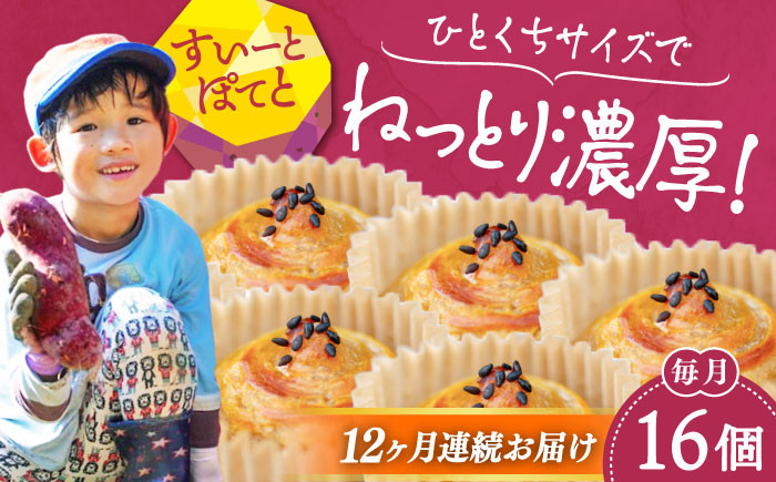 
            【全12回定期便】ねっとり濃厚！ひとくちサイズの スイートポテト 16個セット さつまいも 芋 スイーツ お菓子 ギフト 広島 江田島市/峰商事合同会社[XAD062]
          