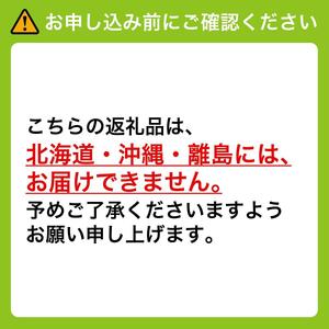 【2025年先行予約】［大原観光果樹園］岡山県産 旬の朝採れ白桃 1箱（約4kg 12～13玉）［026-a021］