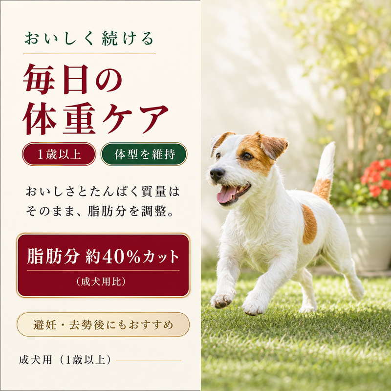 ビューティープロ ドッグ 低脂肪 1歳から 2.5kg ｘ4(ケース単位) ドッグフード