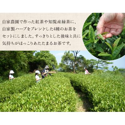 ふるさと納税 南九州市 TEALAN 薩摩の紅茶セット |  | 03