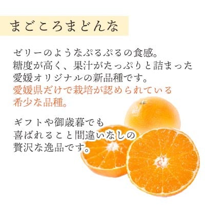 【2025年11月より順次発送】紅まどんなと同品種 愛媛果試28号 1.5kg【C25−178】【1606293】