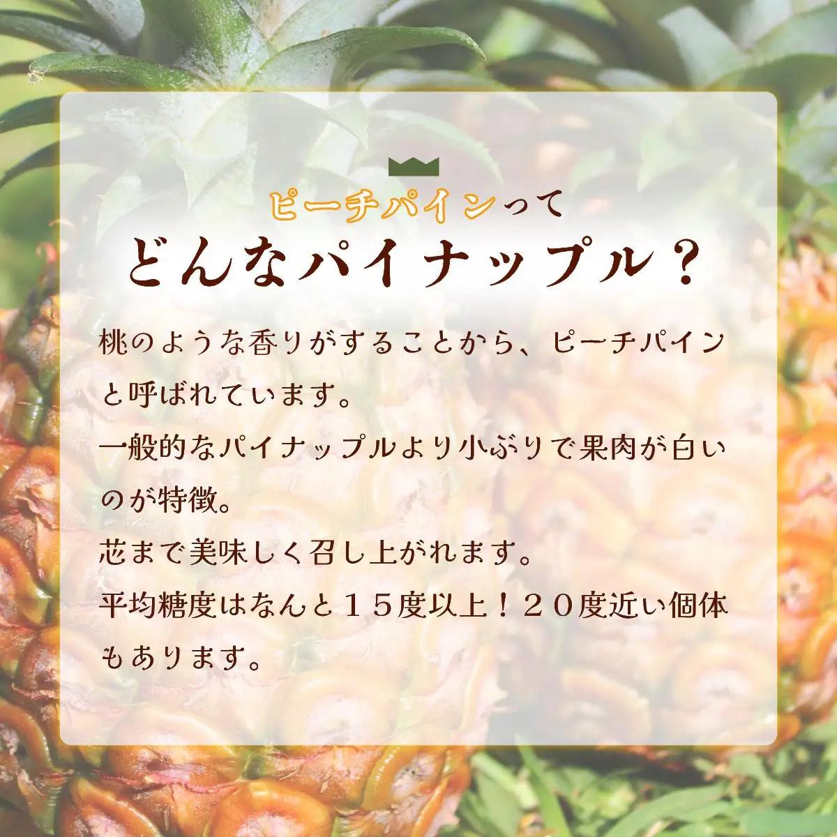 西表島の完熟ピーチパイン4.8kg(400g×12袋)　