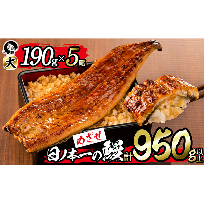 日ノ本一の鰻の蒲焼き＜大＞5尾セット(計950g以上) d3-001