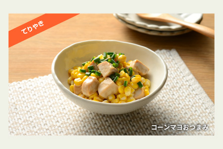SOY PROTEIN＋ ソイプロテインプラス バータイプ 16個 / てりやき	