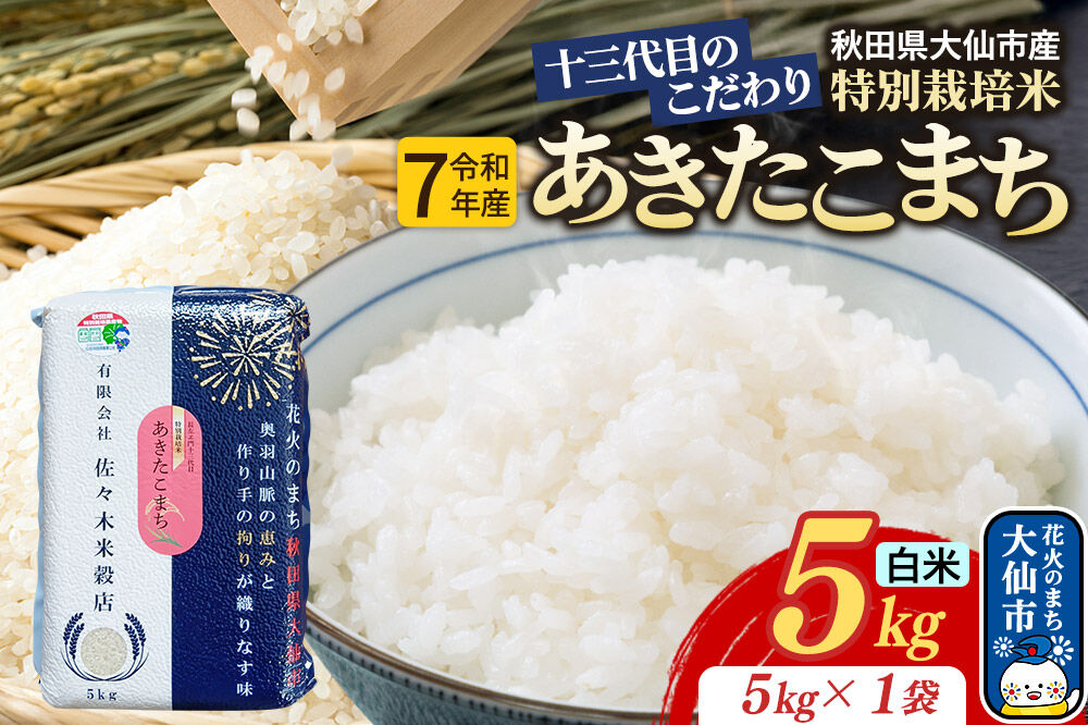 米 あきたこまち【白米】5kg（5kg×1袋）十三代目のこだわり 特別栽培米 令和7年産 [お米 こめ 白米 精米 特別栽培米 あきたこまち ブランド米 秋田県産 大仙市]