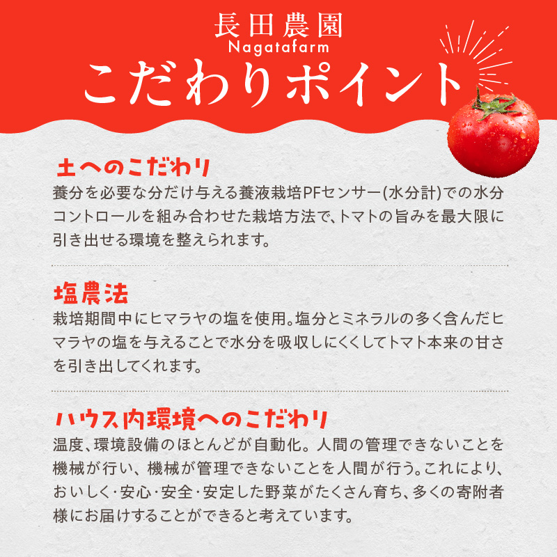 【大人気！】たった3ヶ月しか食べられない　幻のファーストトマト 　たっぷり約1.4kg（3月～5月発送）　長田農園 産地直送 トマト とまと 野菜 やさい フルーツ サラダ 濃厚 甘い ご褒美 プレゼ