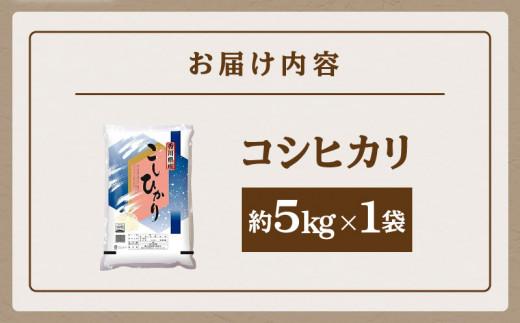 おいしいコシヒカリ約5kg