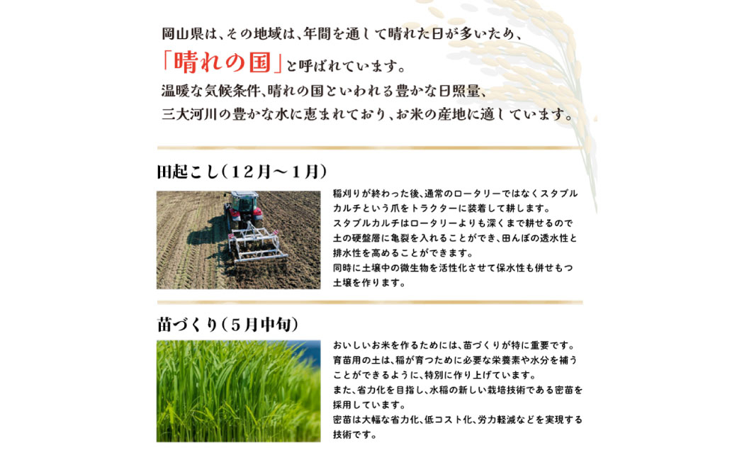 きぬむすめ 白米 30kg　岡山県倉敷市産