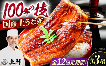 【12回定期便】国産上うなぎ蒲焼 3尾 約150g×3パック  [AVBH016]魚邦 定期便