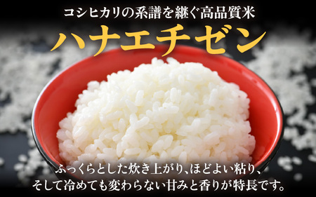 【先行予約】【令和8年産 新米】 エコ栽培ハナエチゼン　白米5kg×3回 計15kg ／ 鮮度抜群 福井県産 はなえちぜん ご飯 新鮮 白米 ※2026年9月上旬以降順次発送予定 [aw063-c01