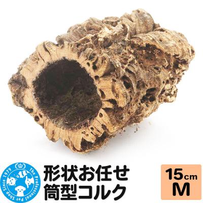 ふるさと納税 邑楽町 形状お任せ 筒型コルク Mサイズ 長さ15cm エアプランツ|09_chm-cl0101ca