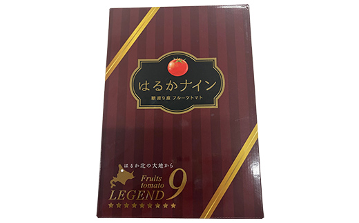 【先行予約】令和8年産 10～15玉前後 糖度9.0度以上 北はるか産フルーツトマト はるかナイン 1箱 フルーツトマト グルメ ギフト 贈答用 ブランド野菜 糖度9度 糖度9以上 故郷 ふるさと 納
