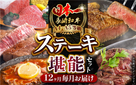 【全12回定期便】 長崎和牛 ステーキ堪能コース 総計11.7kg / モモ リブロース イチボ サーロイン ランプ ヒレ レモンステーキ / 肉 牛肉 焼肉 / 波佐見町 / 野中精肉店 [VF83]