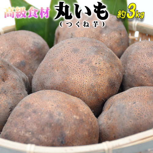 ねばりが凄い！高級食材「丸いも」（つくね芋）約3kg 青森県産【2024年産・先行予約】