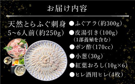 【2027年4月-発送】南島原産 天然とらふぐ刺身 5-6人前 / ふぐ フグ トラフグ ふぐアラ 魚 ヒレ酒 / 南島原市 / 大和庵 [SCJ019]