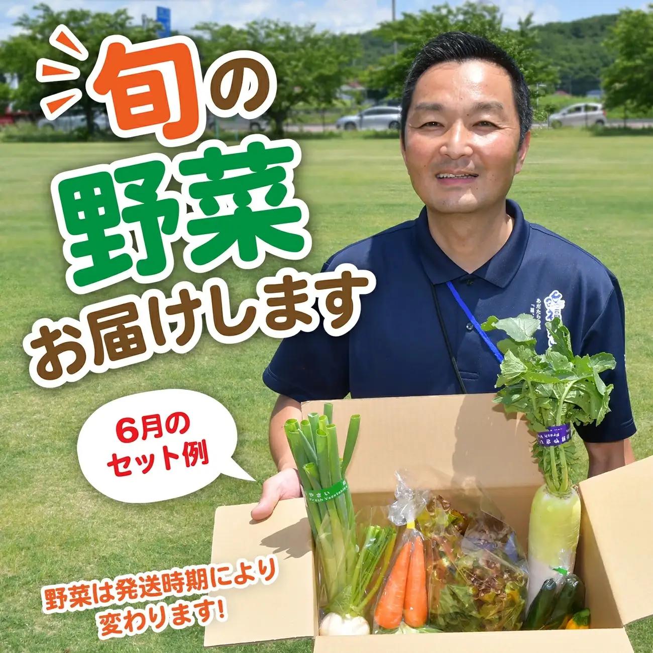 【ふるなびWEEK対象】【3回定期便】野菜定期便 野菜セット 3ヶ月 3回 （毎回10種類前後発送）