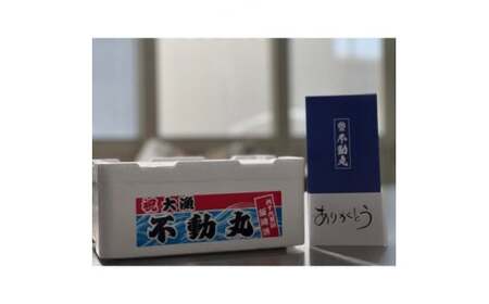 ≪千葉ブランド水産物認定品≫九十九里産活けはまぐり 約1kg/10～16個【配送不可地域：離島】【1506905】
