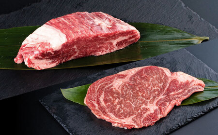【全3回定期便】 あか牛 ヒレ ステーキ 約300g・ ロース ステーキ 約400g 牛肉 熊本県産【合同会社 たべたせいか】[AYCB013]