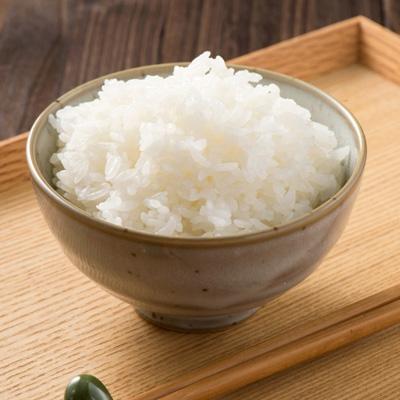 ふるさと納税 南魚沼市 南魚沼産コシヒカリ　白米5kg 【栽培期間農薬を減らして作ったお米】令和6年産　 |  | 03