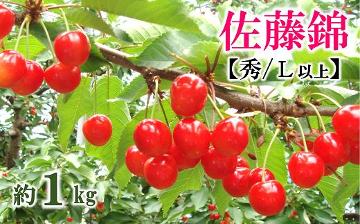 
            【令和7年産先行予約】 さくらんぼ 「佐藤錦」 約1kg (約500g×2パック 秀 L以上) バラ詰め 《令和7年6月中旬～発送》 『マルタニ農園』 小分け サクランボ 果物 フルーツ 産地直送 生産農家直送 山形県 南陽市 [1217]
          