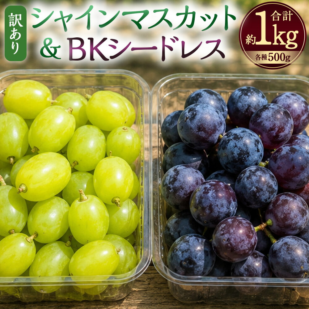 【ふるさと納税】【数量限定】粒パック訳ありシャインマスカット&BKシードレス 計約1kg（約500g×2パック（各1パック）） 2種類セット ぶどう ブドウ 葡萄 フルーツ くだもの 果物 果実 大分県産 国産 九州 大分県 竹田市 送料無料 【2026年8月下旬～11月上旬発送開始予定】