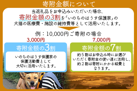 ＜保健所犬猫レスキュー【返礼品なしのご寄附】＞寄付金額1,000,000円※お礼状をお送りいたします。【 動物愛護 保護 犬 猫 いぬ ねこ イヌ ネコ 動物 どうぶつ ペット 応援 支援 寄付 使い