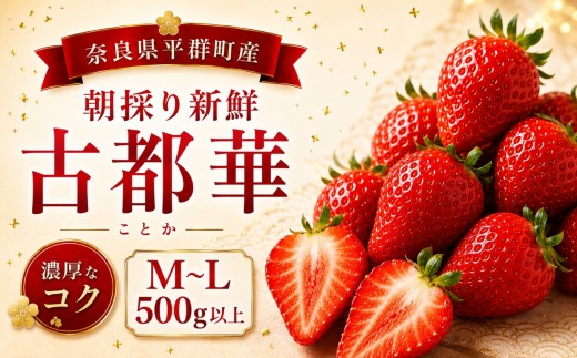AO01 朝採りの新鮮な古都華M～L500ｇ以上 いちごいちえ | 果物 くだもの フルーツ 苺 イチゴ いちご ストロベリー 古都華 ことか 希少 濃厚コク 芳醇 果肉 しっとり 旬の品種 奈良県 平群町