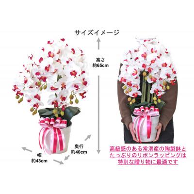 ふるさと納税 川越市 胡蝶蘭 造花 常滑産陶製鉢に入ったシルクフラワーの胡蝶蘭の鉢植 5本立 CT触媒 ホワイトイエロー |  | 03