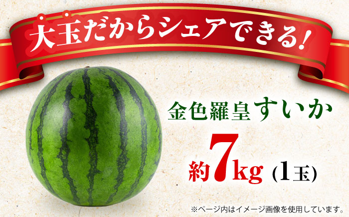 【先行予約】【数量限定】金色羅皇 スイカ 2L以上 1玉 約7kg 【日本フルーツ株式会社】 [ZFJ008]