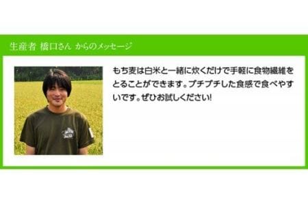 令和8年産 もち麦500g×5袋 【 ふるさと納税 国産 麦 もち麦 食物繊維 数量限定 宮崎県産 川南町産 送料無料 】