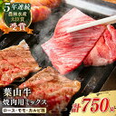 【ふるさと納税】【幻の和牛】国産 和牛 A5ランク 牛肉 葉山牛 焼肉用 ミックス 切り落とし ( ロース モモ カルビ 等 ) 計750g ／ A5 黒毛和牛 焼肉 冷凍 焼肉食べ比べ 焼肉セット【葉山牛ステーキレストラン 角車】[ASBD002]