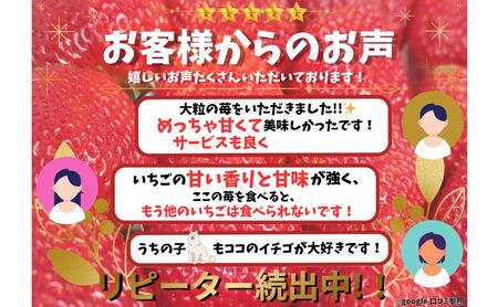 【予約受付】いちご 18粒入りセット 2026年1月以降順次発送予定[ イチゴ 苺 フルーツ 果物 新鮮 糖度 ] 果物類 大粒 