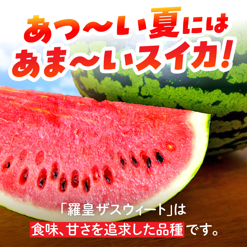 【2026年発送】深く甘いコク感と強いシャリ感「羅皇ザスウィート」1玉 すいか 甘い すいか1玉 果物 フルーツ　H141-015