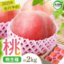 【ふるさと納税】 もも 2kg 令和7年 先行予約 桃 福島 約6玉 《 2025年 8月上旬-9月下旬発送》 菊地果樹園 ｜ 大玉 村 福島県 大玉村 国産 白桃 川中島白桃 さくら ゆうぞら 旬 果物 フルーツ くだもの お取り寄せ 新鮮 産地直送 送料無料 ギフト 贈答 晩生種 ｜ kk-mm02-R7