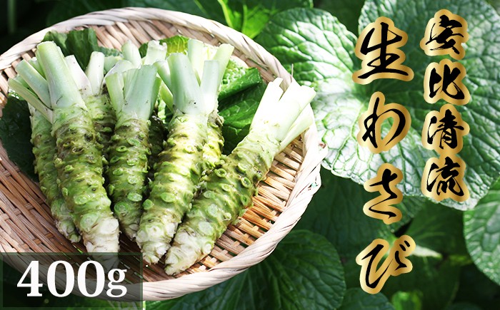 
                  岩手県産 生わさび 400g【安比清流山葵園 ／山葵 ワサビ わさび 薬味 国産 八幡平市産 産地直送 新鮮 調味料 刺身 ステーキ お肉 蕎麦 和え物 漬け物 刻み おろし 辛味 和食 お寿司 そば 肉の薬味 魚の薬味 そばの薬味 料理 自宅用 家庭用 おすすめ オススメ お取り寄せ 日本産
                