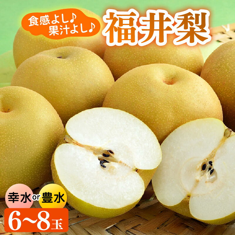 【ふるさと納税】【先行予約】福井梨 6～8玉入 《幸水梨 豊水梨どちらかのお届け！》 ／ 期間限定 果物 フルーツ 産地直送 旬 お取り寄せ ※2027年8月下旬頃より発送